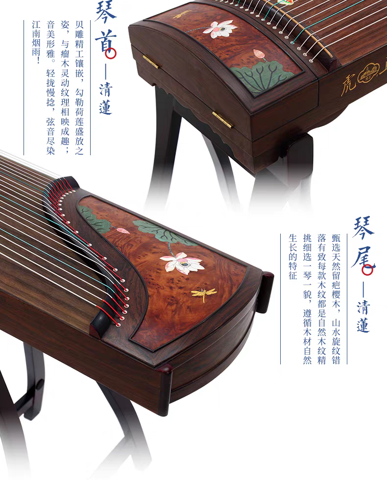 6331-E 清莲  古夷苏木